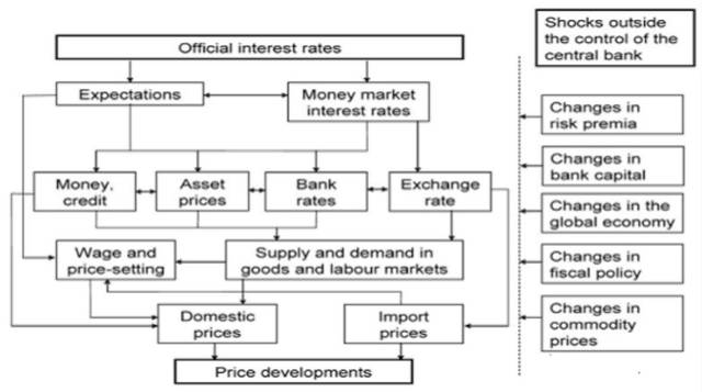 开云电竞官方网站