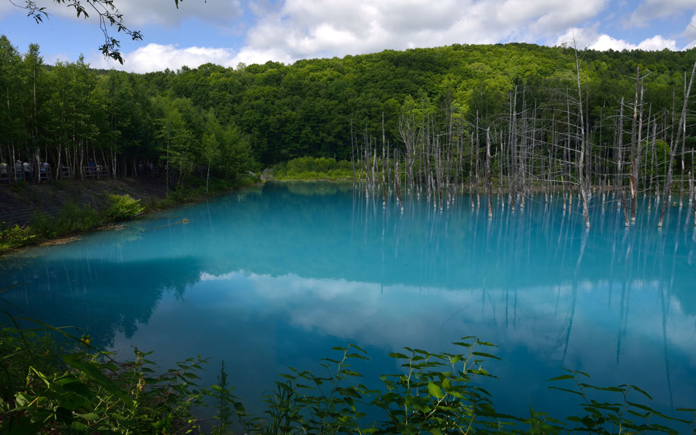 开云电竞中国|每日体育报:巴萨从郎格莱16岁起就开端调查他(图1) 开云电竞官方网站