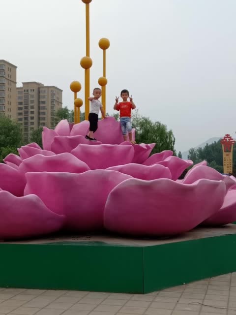 开云电竞官方网站