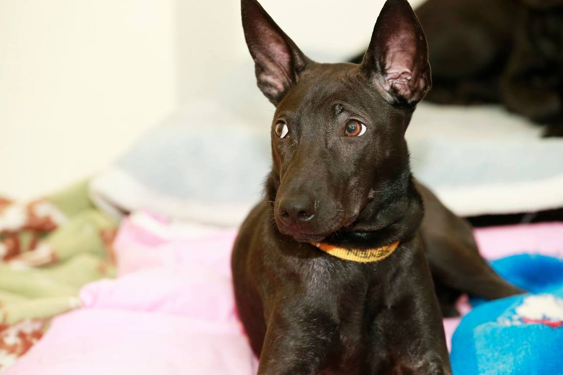 开云电竞官方网站