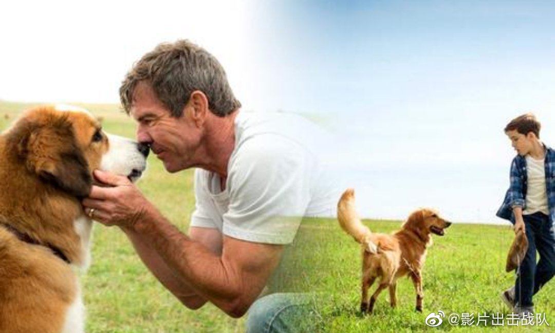 开云电竞官方网站-英雄联盟S9小组赛RNG胜FNC 快手官宣RNG战队全体成员入驻快手(图1) 开云电竞中国