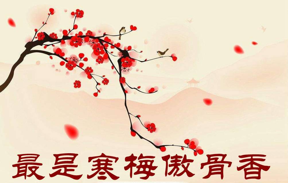 开云电竞官方网站