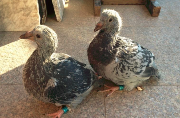 开云电竞官方网站